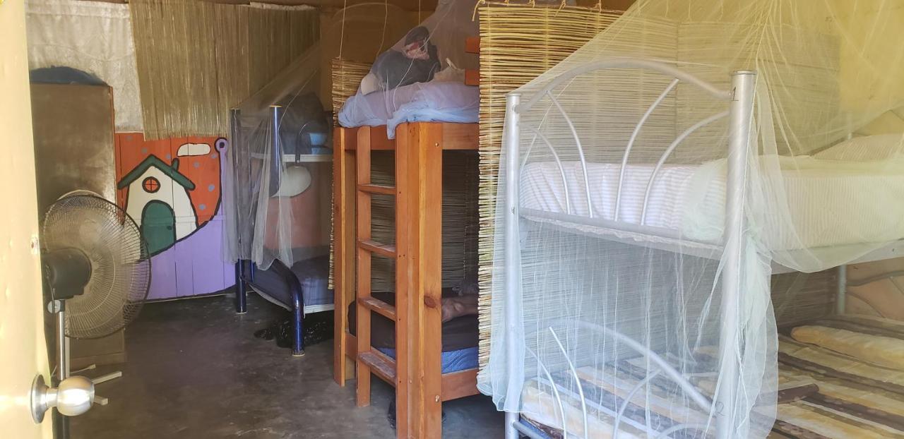 Hostal Y Camping Las G 巴卡拉尔 外观 照片