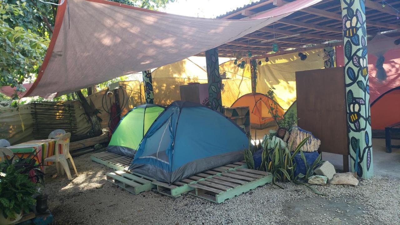 Hostal Y Camping Las G 巴卡拉尔 外观 照片