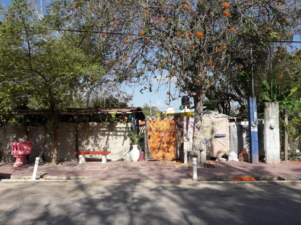 Hostal Y Camping Las G 巴卡拉尔 外观 照片