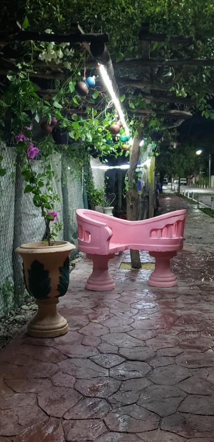 Hostal Y Camping Las G 巴卡拉尔 外观 照片