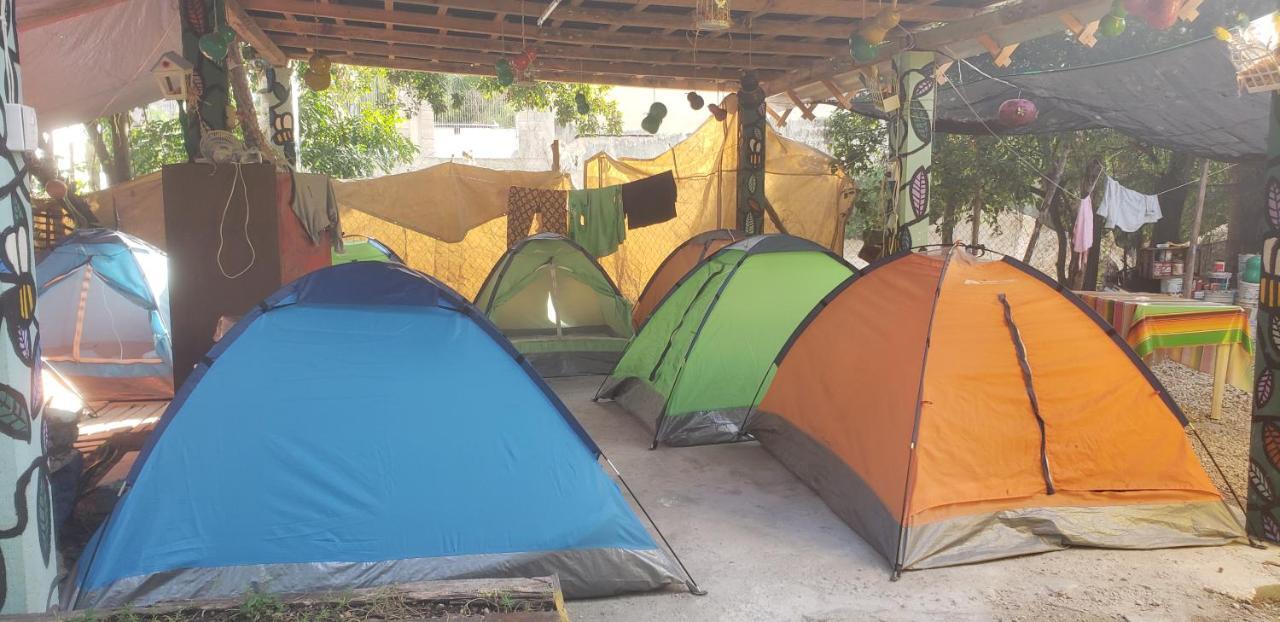 Hostal Y Camping Las G 巴卡拉尔 外观 照片